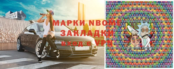 ECSTASY Алзамай