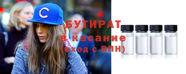 индика Ельня