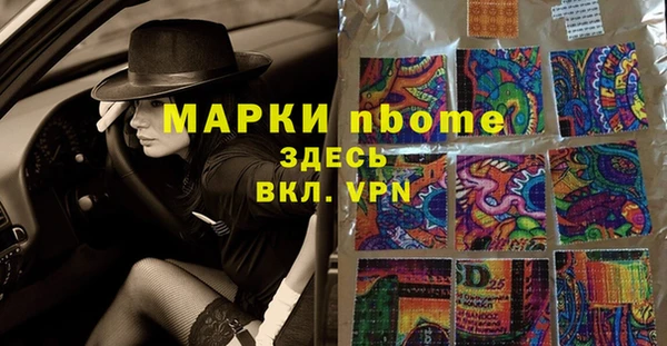 ECSTASY Алзамай