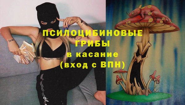 каннабис Арсеньев