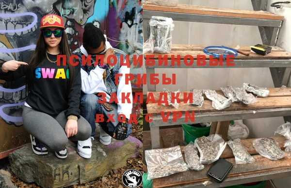 крисы Аркадак