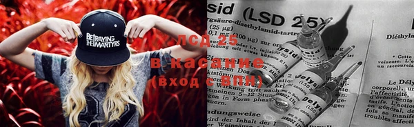 ECSTASY Алзамай