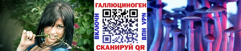 Галлюциногенные грибы Magic Shrooms  OMG tor  Краснообск 